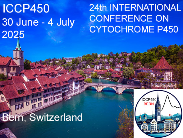 Titleimage: ICCP450Bern Titleimage: ICCP450Bern